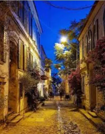 酒店 Cunda Palace Ayvalı