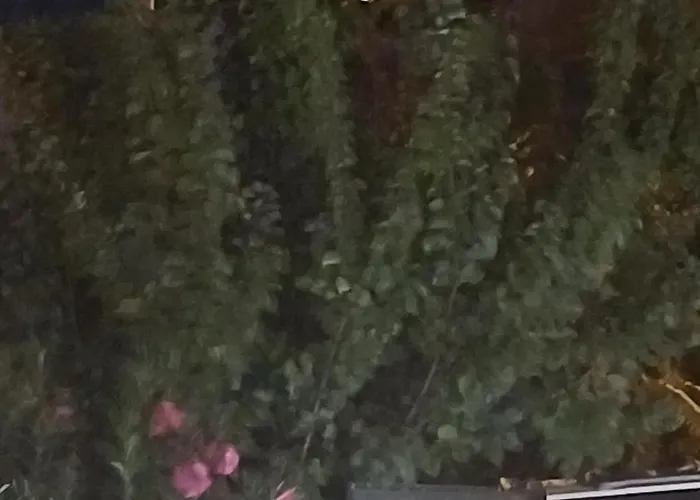 酒店 Cunda Palace *