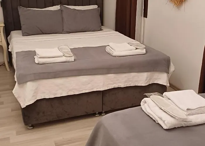 酒店 Cunda Palace *