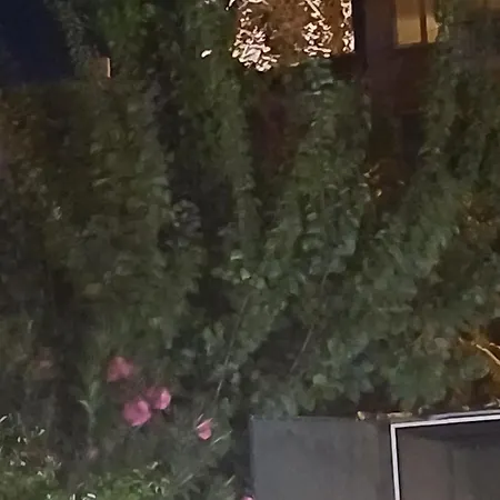 Hotel Cunda Palace *